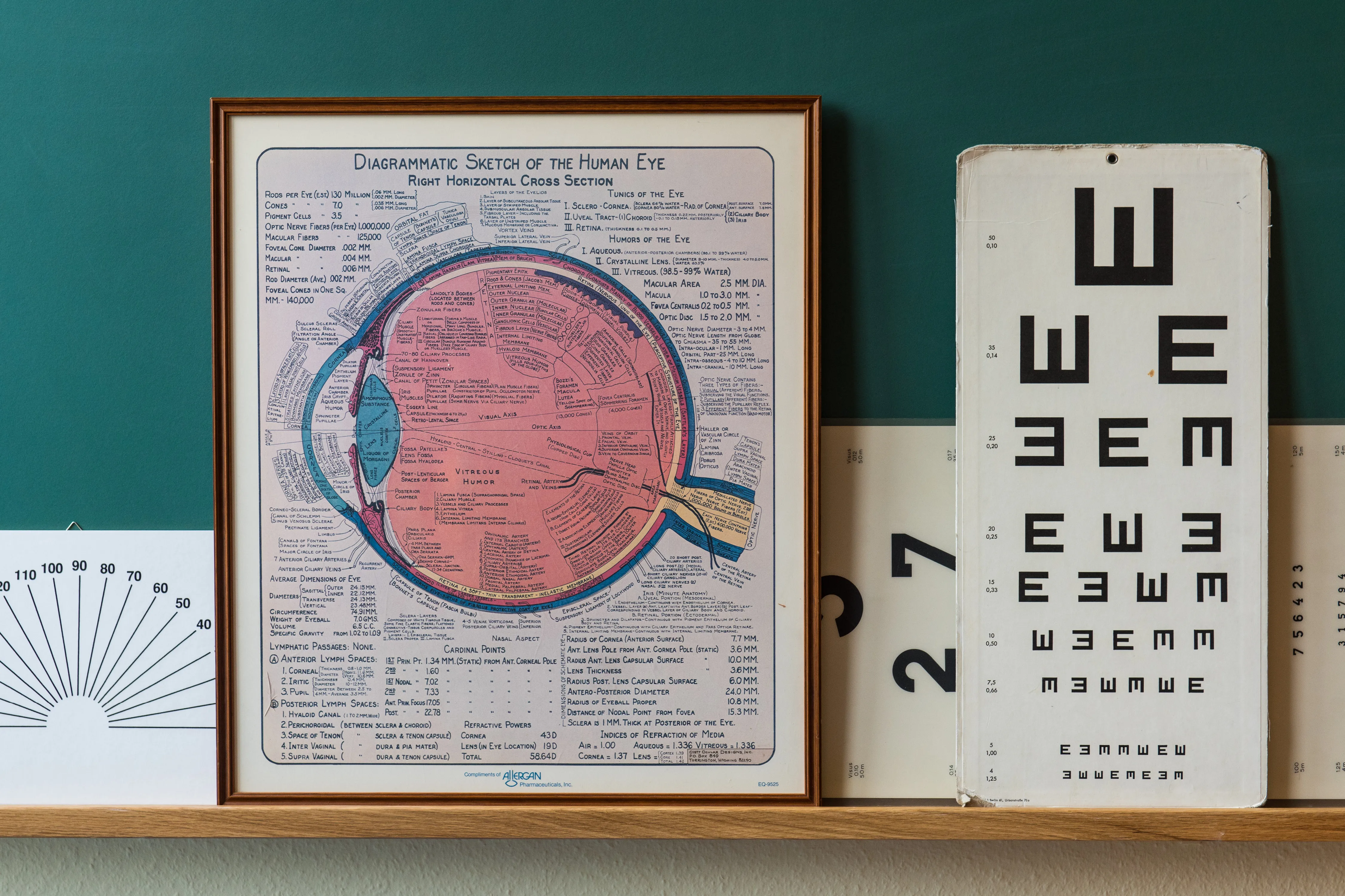 Nahaufnahme eines Holzregals mit einem gerahmten Schema des menschlichen Auges und einer Sehzeichentafel.